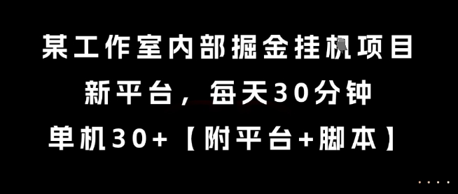 某工作室内部掘金挂G项目,新平台,每天30分钟,单机30+【揭秘】-大可网创