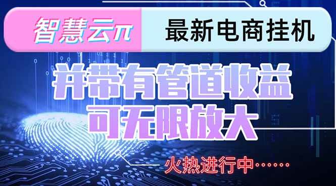 (15314期)智慧云π电脑挂机单机每天收益300—500+ 并带有团队管道收益 可无限放大-大可网创