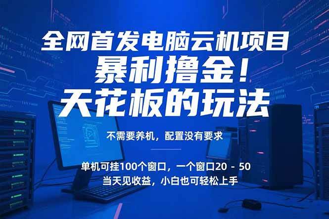 (15323期)电脑云机项目 暴力撸金玩法,不需要养机 配置没有要求 单机100个窗口一…-大可网创