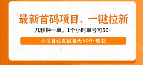 最新首码项目,操作最简单,收益高,一键拉新,1个小时单号可50+,小项目认真做每天5张+收益【揭秘】-大可网创