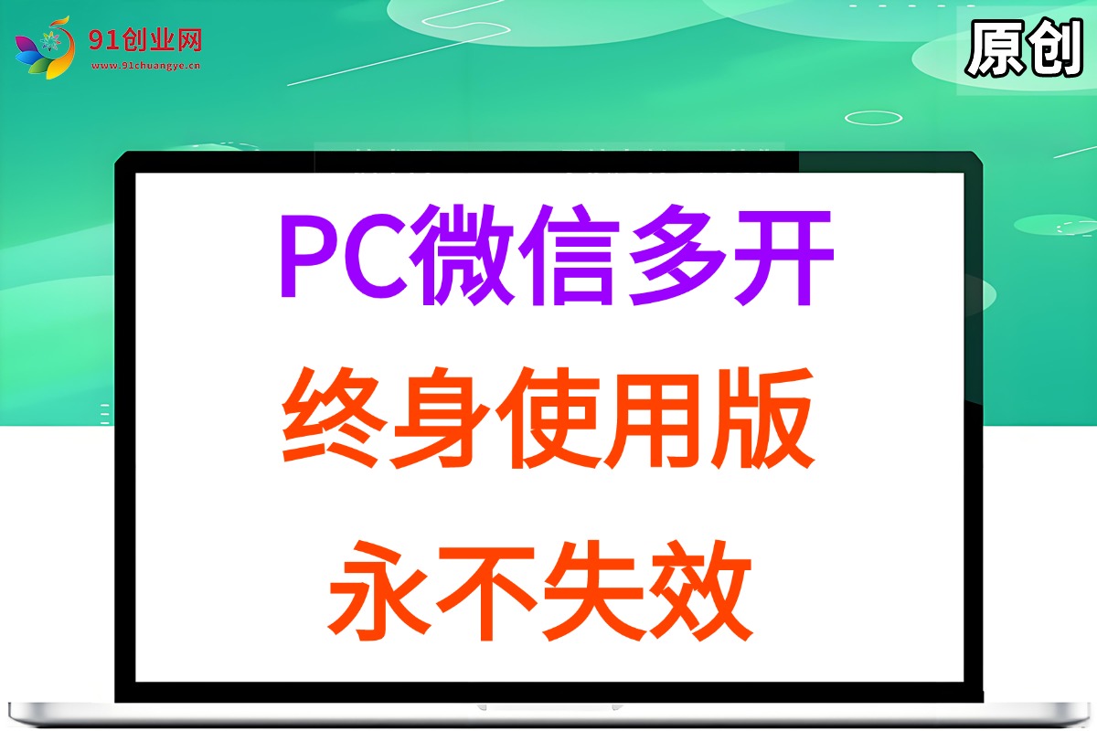 (15335期)PC微信多开终身定制版,超级简单,几行代码搞定,永不失效-大可网创