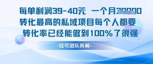 每单利润40一个月7k+转化最高的私域项目,每个人都要的产品转化率已经能做到100%-大可网创