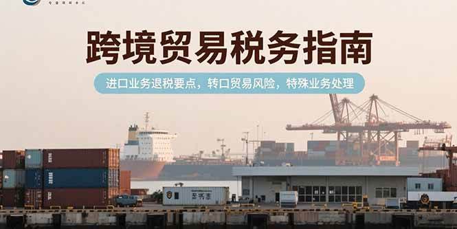 (15381期)跨境贸易税务指南,进口业务退税要点,转口贸易风险,特殊业务处理-大可网创