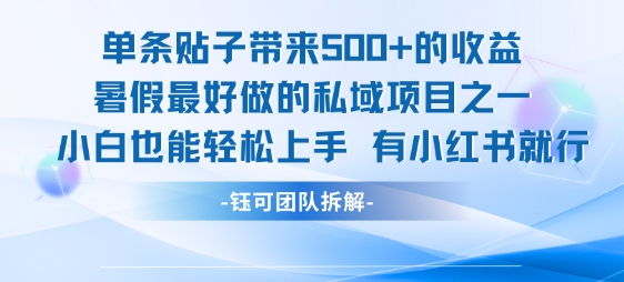 单条贴子带来5张的收益,暑假最好做的私域项目之一,小白也能轻松上手,有小红书就行-大可网创