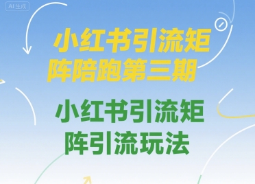 小红书引流矩阵陪跑第三期,小红书引流矩阵引流玩法-大可网创