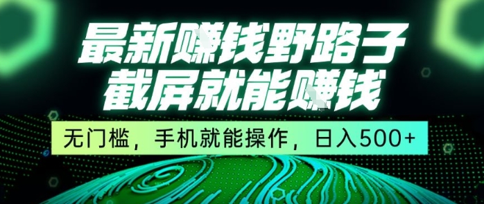 最新野路子截屏就能挣钱,无门槛,手机就能操作,日入5张【揭秘】-大可网创