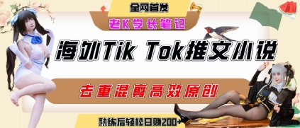 海外tiktok小说推文暴力项目,高停留率,高转化率,上手后一天搞顿饭钱不是问题-大可网创