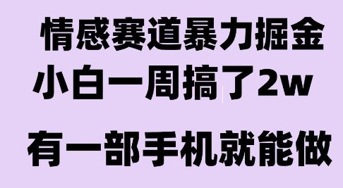 情感暴力掘金项目,新人操作一周挣了2W,长期稳定小白可做【揭秘】-大可网创