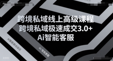 跨境私域线上高级课程,跨境私域极速成交3.0+Ai智能客服-大可网创