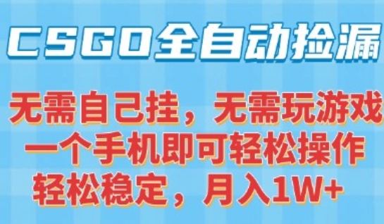 CSGO自动捡漏项目,最新独家玩法,一个手机可操作,新手小白轻松月入1W+,操作简单易上手【揭秘】-大可网创