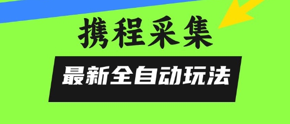 携程信息采集全自动玩法,0风控,无脑开干【揭秘】-大可网创