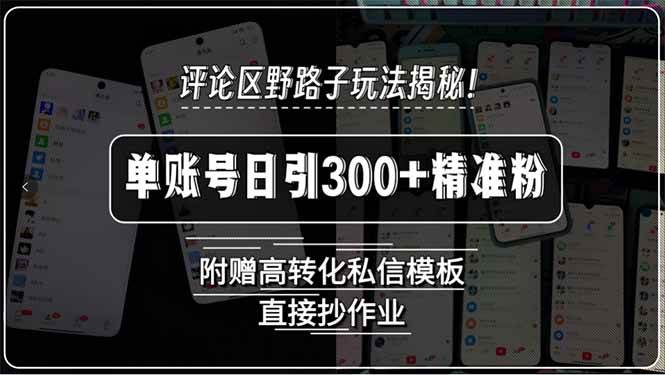 (15466期)评论区野路子玩法揭秘!单账号日引300+精准粉,附赠高转化私信模板,直…-大可网创