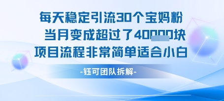 每天稳定引流30个人 当月变成超过了4个W项目流程非常简单适合小白-大可网创
