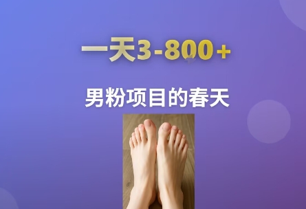 AI一键生成美女素材,一天收益3-8张,男粉项目的春天-大可网创