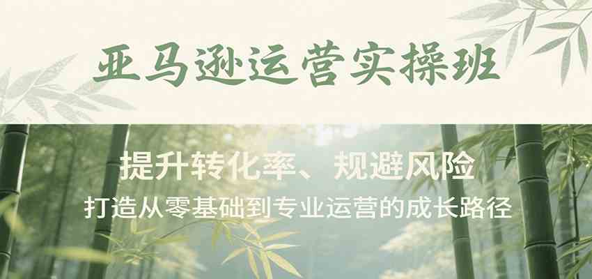 亚马逊运营实操班,提升转化率、规避风险,打造从零基础到专业运营的成长路径-大可网创