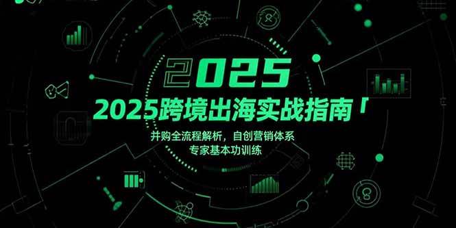 (15503期)2025跨境出海实战指南,并购全流程解析,自创营销体系,专家基本功训练-大可网创
