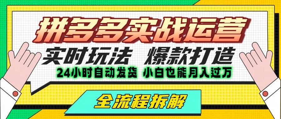拼多多最新实战运营高投产:长久稳定项目,单店利润一天三位数-大可网创