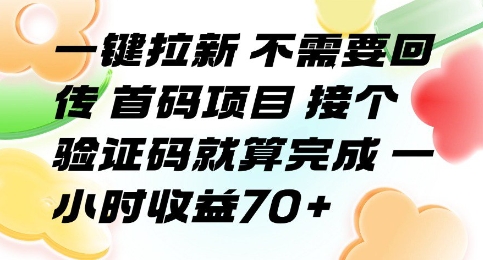 一键拉新 不需要回传 首码项目 接个验证码就算完成 一小时收益70+【揭秘】-大可网创