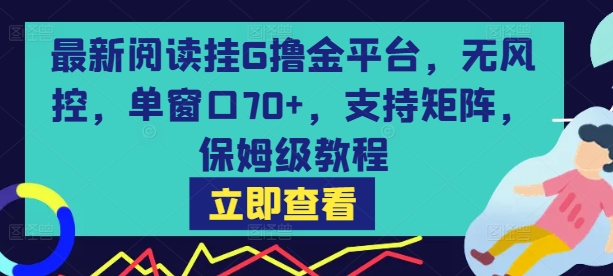 最新阅读挂G撸金平台,无风控,单窗口70+,支持矩阵,保姆级教程【揭秘】-大可网创