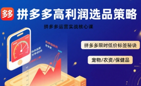 拼多多选品暴利技术实战课,拼多多高利润选品策略,拼多多限时低价标签秘诀-大可网创