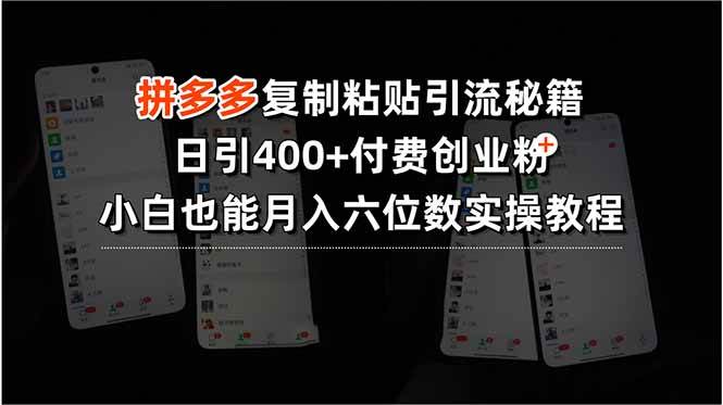 (15613期)拼多多复制粘贴引流秘籍,日引400+付费创业粉,小白也能月入六位数实操…-大可网创
