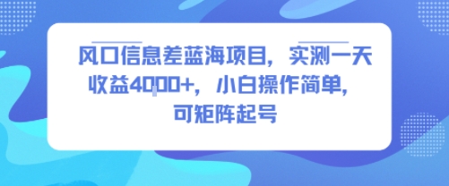 风口信息差蓝海项目,实测一天收益4k+,小白操作简单,可矩阵起号-大可网创
