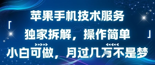 苹果手机技术服务,独家拆解,操作简单,小白可做,月过1W不是梦-大可网创