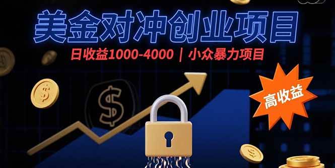 (15642期)美金对冲创业项目,日收益1000-4000,小众暴力项目-大可网创