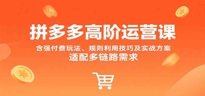 拼多多高阶运营课,含强付费玩法、规则利用技巧及实战方案,适配多链路需求-大可网创