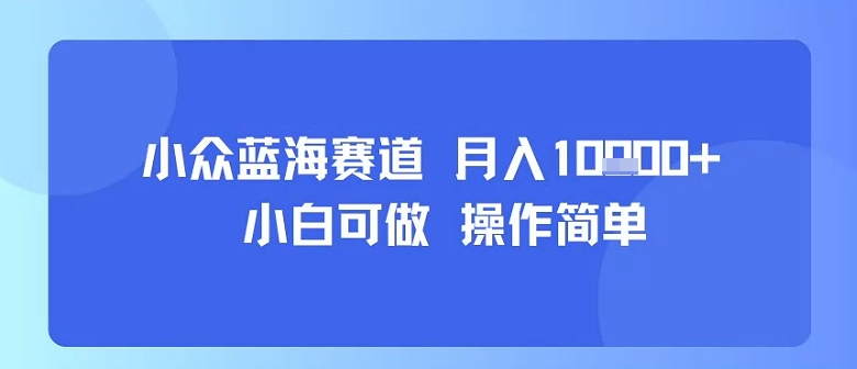 小众蓝海赛道,小白可做,操作简单,每天30分钟,月入1W+-大可网创