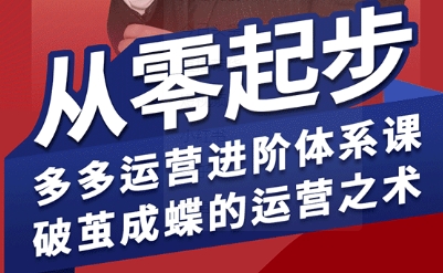 拼多多运营进阶系统课,从零起步,多多运营进阶体系课,破茧成蝶的运营之术-大可网创