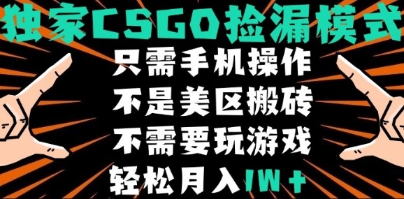 CSGO自动捡漏项目,最新独家玩法,不是美区搬砖,不需要了解和玩游戏,新手小白轻松月入1W+【揭秘】-大可网创