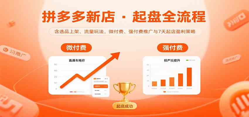 拼多多新店起盘全流程,含选品上架、流量玩法,微付费、强付费推广与7天起店盈利策略-大可网创