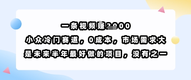 一条视频挣1k,小众冷门赛道,0成本,市场需求大,是未来半年最好做的项目,没有之一-大可网创