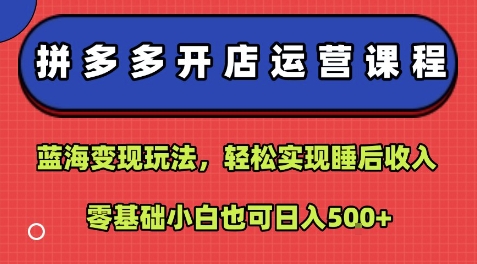 拼多多开店运营课程:蓝海变现玩法,轻松实现睡后收入,零基础小白也可日入5张-大可网创
