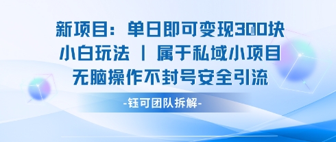 新项目单日即可变现3张的小白玩法无脑操作不封号安全引流-大可网创