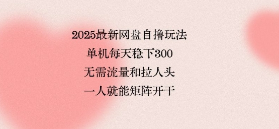 2025最新网盘自撸玩法,单机每天稳下3张,无需流量和拉人头,一个人就可轻松矩阵,全网独一份【揭秘】-大可网创