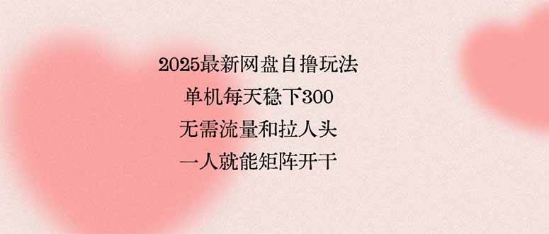 (15831期)2025最新网盘自撸玩法,单机每天稳下3张,无需流量和拉人头,一个人就…-大可网创