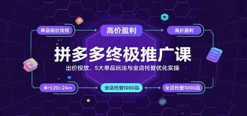 拼多多终极推广课:出价投放、5大单品玩法与全店托管优化实操-大可网创