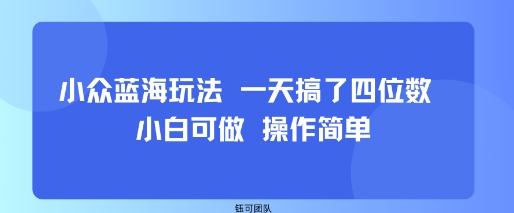 小众蓝海玩法 一天搞了四位数 小白可做 操作简单-大可网创