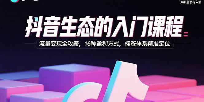 (15856期)抖音生态的入门课程:流量变现全攻略,16种盈利方式,标签体系精准定位-大可网创