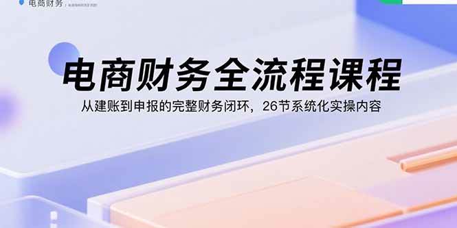 (15893期)电商财务全流程课程:从建账到申报的完整财务闭环,26节系统化实操内容-大可网创