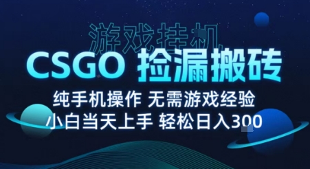 8月最新游戏搬砖,CSGO纯挂G,不需要玩游戏,实现真挂G,月入1W+【揭秘】-大可网创