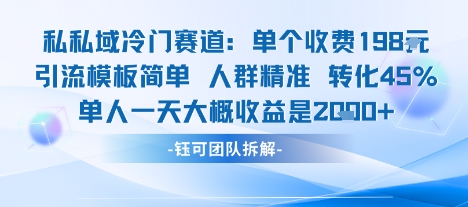 私域冷门赛道单个收费198米引流模板简单人群精准 45%的转化率单人一天大概收益多张-大可网创