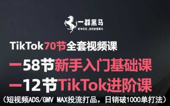 TikTok全套视频课,新手入门+进阶课,短视频ADS-GMV MAX投流打品,日销破1000单打法-大可网创