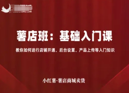 小红薯薯店商城卖货,基础入门课,教你如何进行店铺开通、后台设置、产品上传等入门知识-大可网创