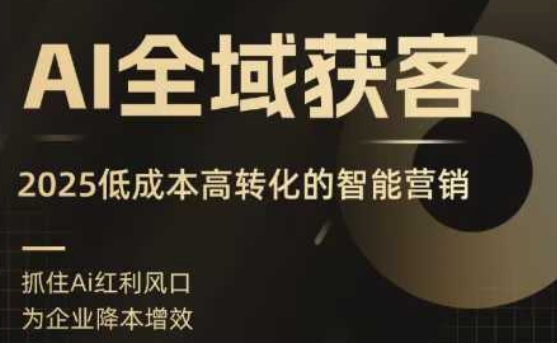 AI全域获客实训营,2025低成本高转化的智能营销,精准找客,高效营销-大可网创