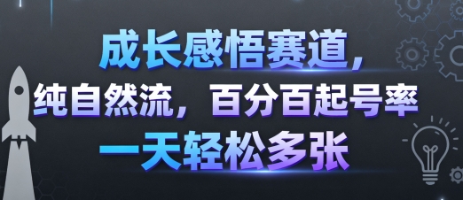 成长感悟赛道,纯自然流,百分百起号率 一天轻松多张-大可网创