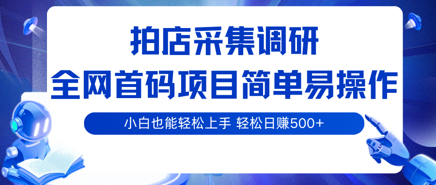 拍店采集调研,全网首码项目,简单易操作, 小白也能轻松上手,轻松日赚500+-大可网创