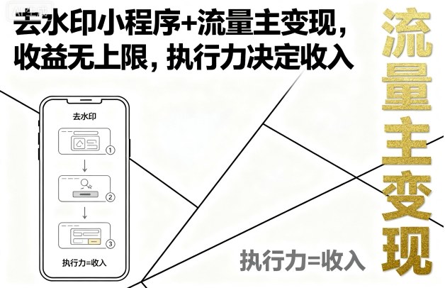 去水印小程序+流量主变现,收益无上限,执行力决定收入-大可网创